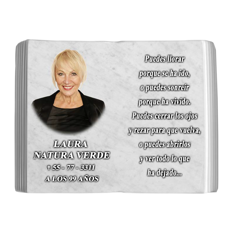 LIBRO DE PORCELANA